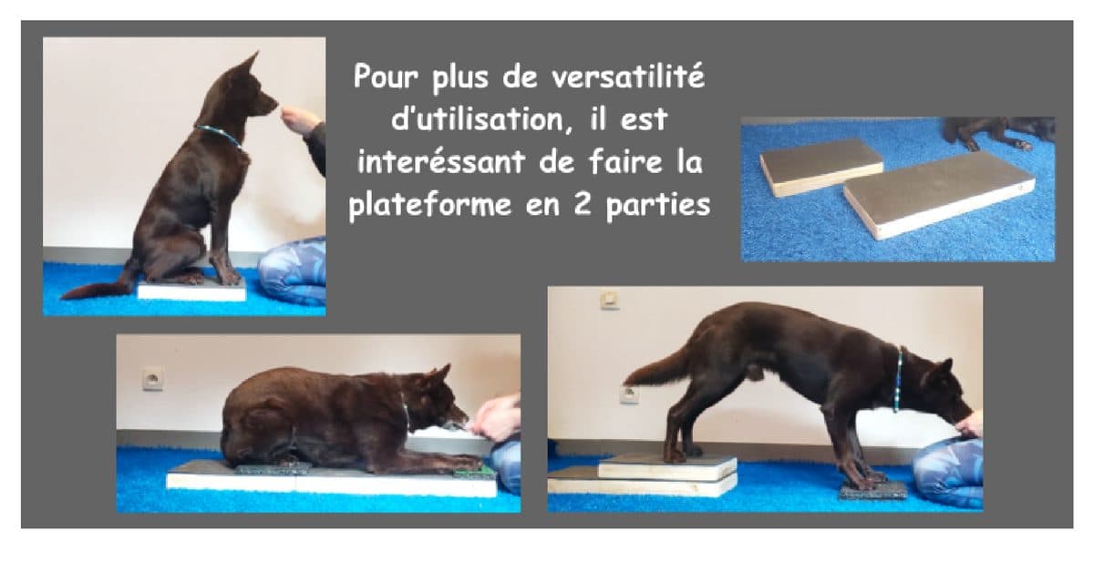 Plateforme en deux parties utilisée avec un chien